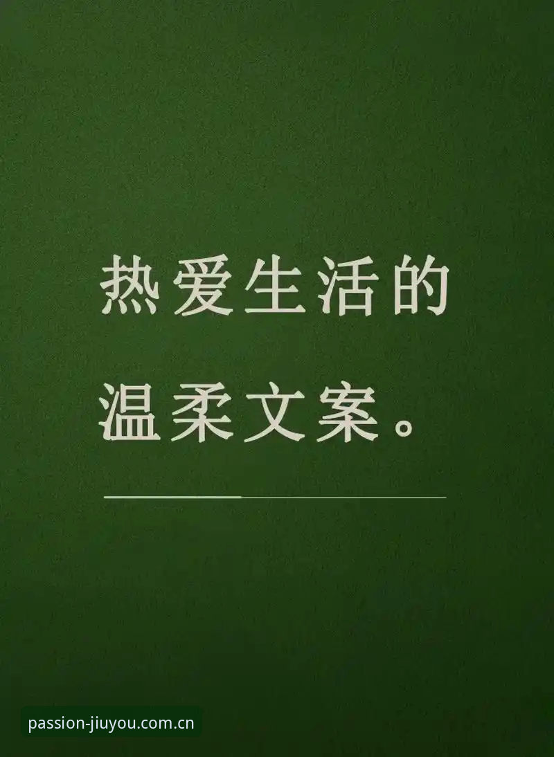 忠于热爱2025年最新版 - 九游 (CHINA) · 忠于热爱 MYCD